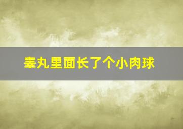 睾丸里面长了个小肉球