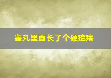 睾丸里面长了个硬疙瘩