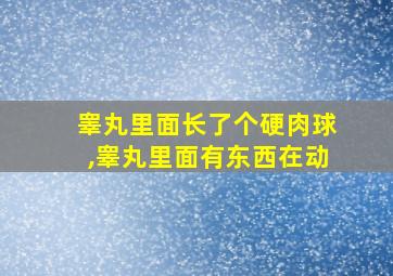 睾丸里面长了个硬肉球,睾丸里面有东西在动