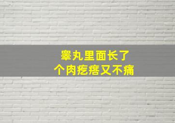 睾丸里面长了个肉疙瘩又不痛