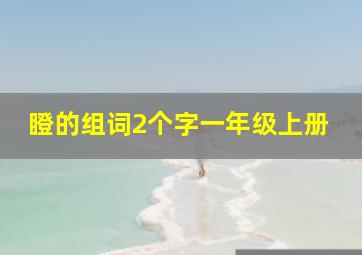 瞪的组词2个字一年级上册