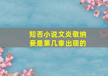 知否小说文炎敬纳妾是第几章出现的