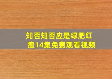 知否知否应是绿肥红瘦14集免费观看视频