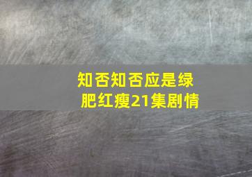 知否知否应是绿肥红瘦21集剧情