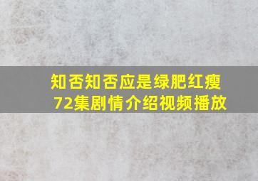 知否知否应是绿肥红瘦72集剧情介绍视频播放