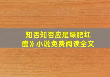 知否知否应是绿肥红瘦》小说免费阅读全文