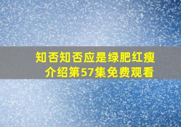 知否知否应是绿肥红瘦介绍第57集免费观看