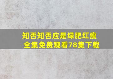 知否知否应是绿肥红瘦全集免费观看78集下载