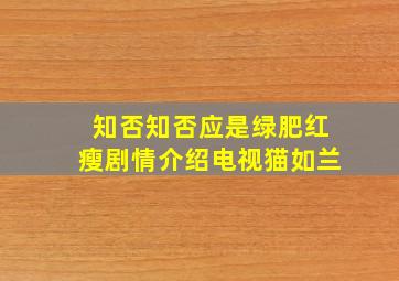 知否知否应是绿肥红瘦剧情介绍电视猫如兰