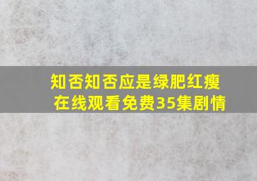 知否知否应是绿肥红瘦在线观看免费35集剧情