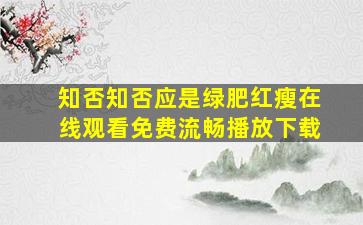 知否知否应是绿肥红瘦在线观看免费流畅播放下载