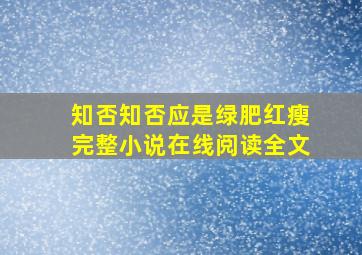 知否知否应是绿肥红瘦完整小说在线阅读全文