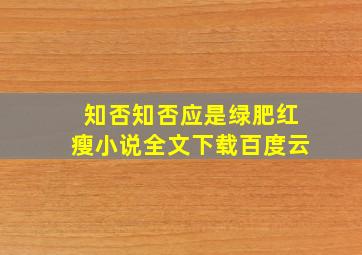 知否知否应是绿肥红瘦小说全文下载百度云