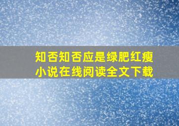 知否知否应是绿肥红瘦小说在线阅读全文下载