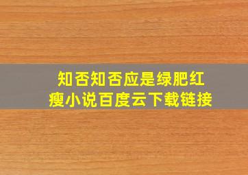 知否知否应是绿肥红瘦小说百度云下载链接