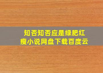 知否知否应是绿肥红瘦小说网盘下载百度云