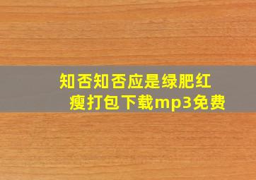 知否知否应是绿肥红瘦打包下载mp3免费