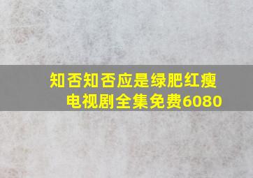 知否知否应是绿肥红瘦电视剧全集免费6080