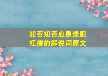 知否知否应是绿肥红瘦的解说词原文