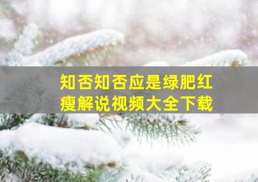 知否知否应是绿肥红瘦解说视频大全下载