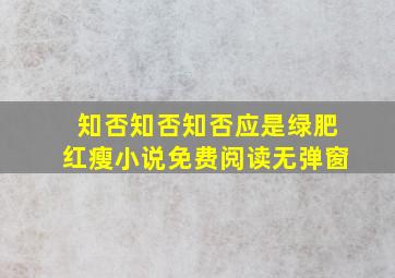 知否知否知否应是绿肥红瘦小说免费阅读无弹窗