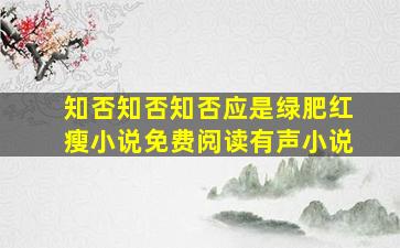 知否知否知否应是绿肥红瘦小说免费阅读有声小说