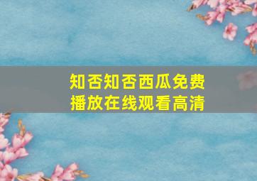 知否知否西瓜免费播放在线观看高清