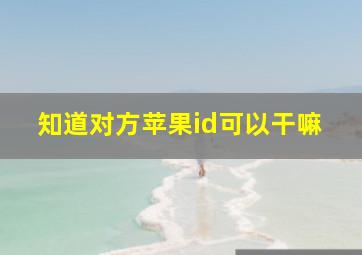 知道对方苹果id可以干嘛