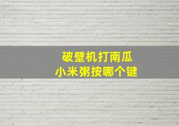 破壁机打南瓜小米粥按哪个键