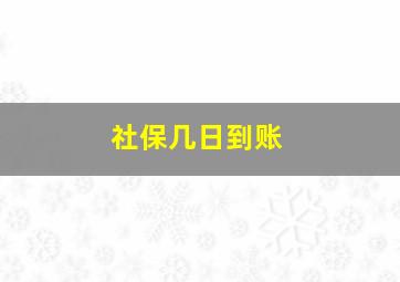 社保几日到账