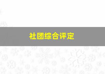 社团综合评定