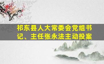 祁东县人大常委会党组书记、主任张永法主动投案