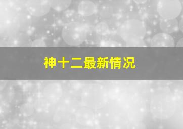 神十二最新情况