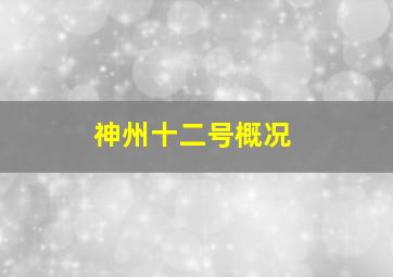 神州十二号概况