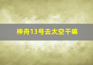 神舟13号去太空干嘛