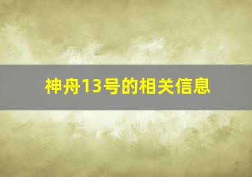 神舟13号的相关信息