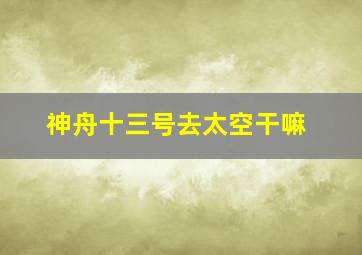 神舟十三号去太空干嘛