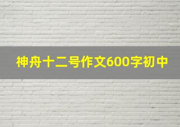 神舟十二号作文600字初中