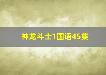 神龙斗士1国语45集