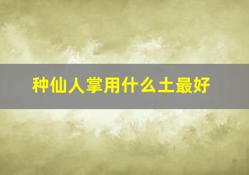 种仙人掌用什么土最好