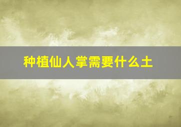 种植仙人掌需要什么土