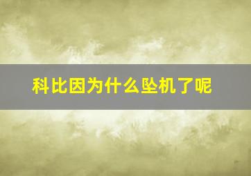 科比因为什么坠机了呢