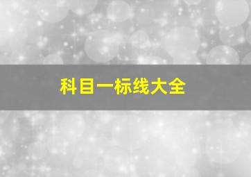 科目一标线大全