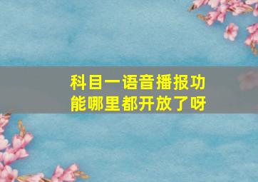 科目一语音播报功能哪里都开放了呀