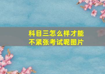 科目三怎么样才能不紧张考试呢图片