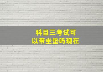 科目三考试可以带坐垫吗现在