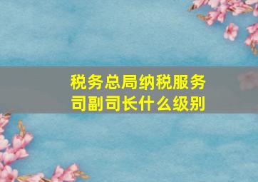 税务总局纳税服务司副司长什么级别