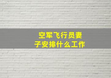 空军飞行员妻子安排什么工作