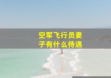 空军飞行员妻子有什么待遇