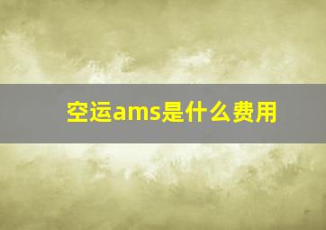 空运ams是什么费用